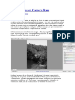 Dividir Tonos en Camera Raw
