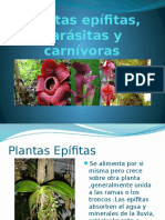 Plantas Epifitas, Parásitas y Carnívoras - Copia