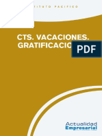 CTS - Vacaciones - Gratificaciones