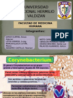Corynebacterium, Vibrio y Aeromonas
