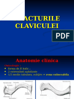 Acturile Claviculei