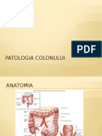 Patologia colonului.pptx
