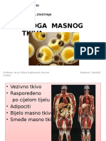 Uloga Masnog Tkiva