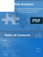 Completing The Risk Analysis Puzzle