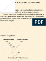 Anomalii Ale Hemostazei - Studenti