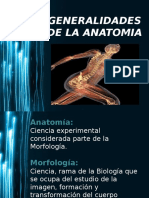 Generalidades de La Anatomía