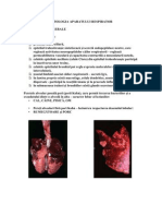 Patologia Aparatului Respirator