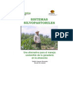 2006112717650_sistema Silvopastoril Manejo Sostenible Ganaderia
