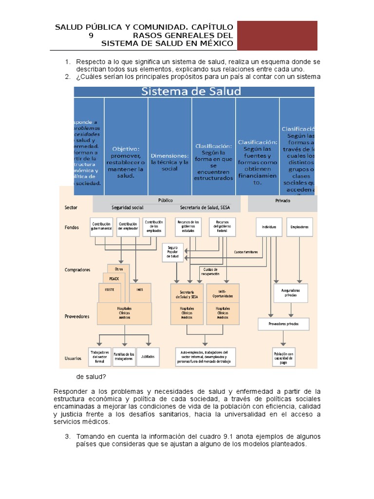 Sistema de Salud en México: Estructura y Retos | PDF | Hospital ...