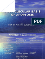Apoptosis & Ros Prof Pur