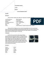 Tugas Petrology Minieral Mafik