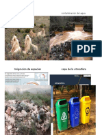 Perdidas de Especiecontaminacion Del Agua.docx Ibsa