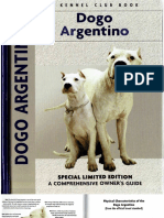 Dogo Argentino 