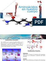 aminoacidos esenciales