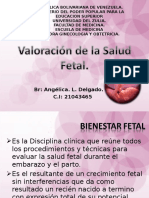 Bienestar Fetal