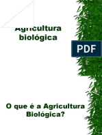 Agricultura Biologica Final