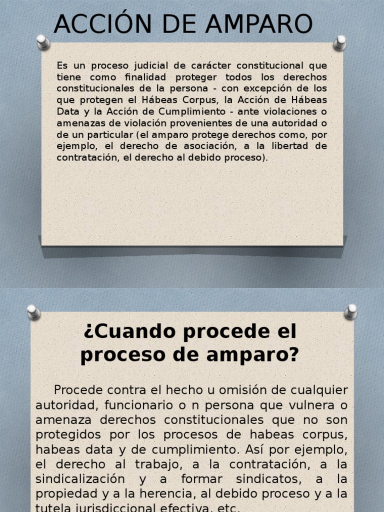 Acción de Amparo | PDF | Habeas corpus | Demanda judicial