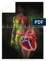 12-lead-ECG-Part-1.pdf