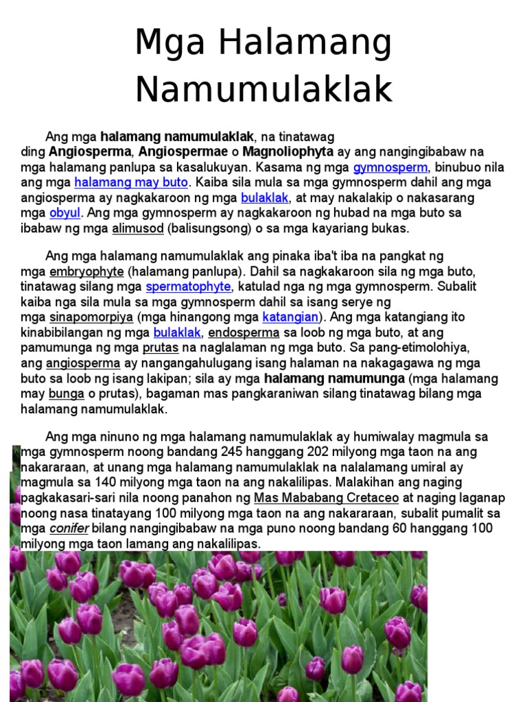 Mga Halamang Namumulaklak