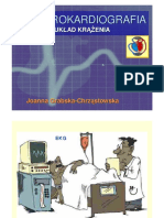 EKG Układ Krążenia