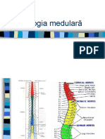 Patologia Medulara 1