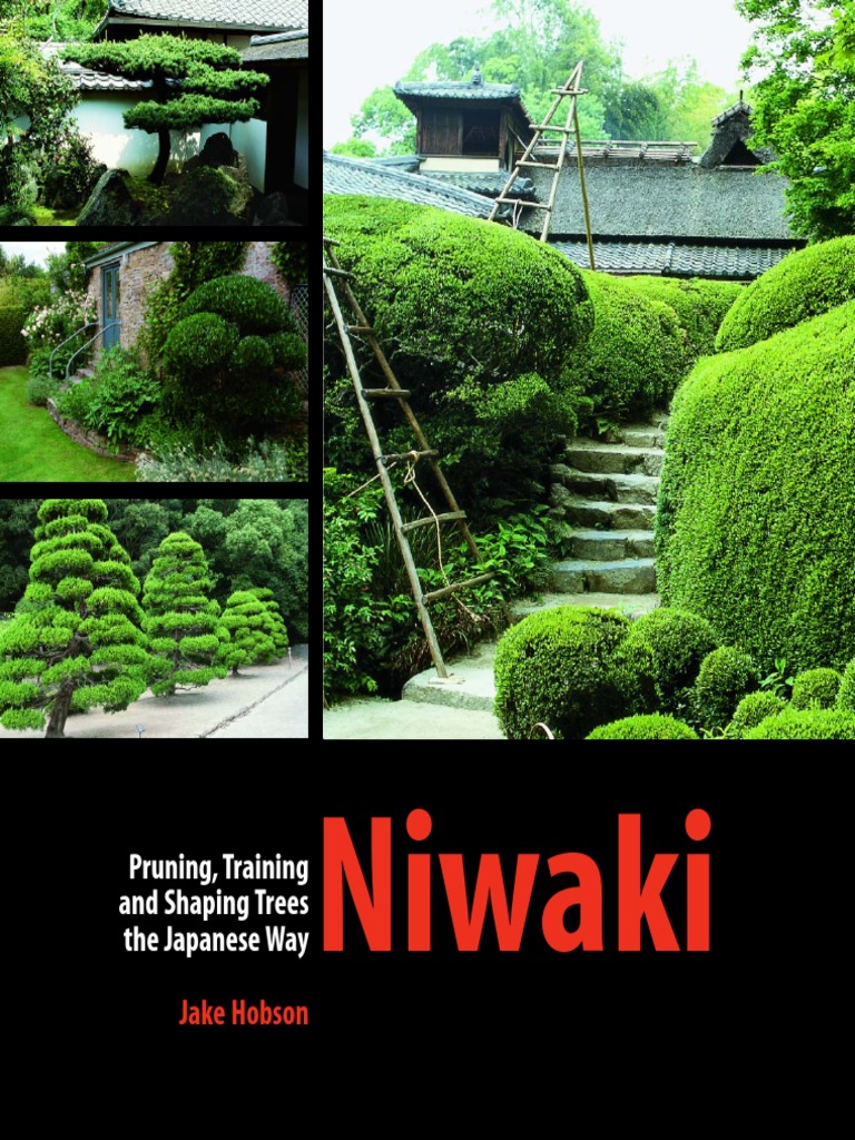 Niwaki Pruning, Training and Shaping Trees The Japanese Way | PDF | Shinto  | Ikebana