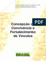 Concepção de Convivencia e Fortalecimento de Vinculos