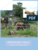 Revista Del Valle