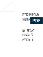 Integumentary System By: Bryant Gonzalez Period: 1