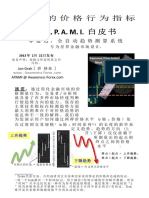 APAMI Whitepaper Abstract Chinese ZHO CHI 中文