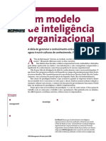 11Modelo Inteligencia Organizacional[HSM][1]