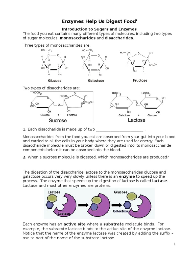 Enzyme Protocol Digestion Enzyme