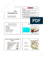 Nematodos fitopatógenos: Características y manejo