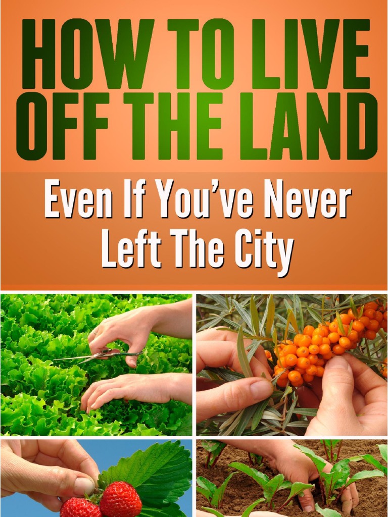 How To Live Off The Land | PDF | Permaculture | Compost