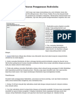 Tips Menjaga Dan Aturan Penggunaan Rudraksha