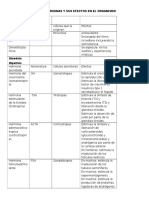 Hormonas clasificación efectos