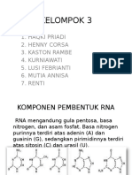 Komponen Pembentukan RNA