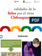 Generalidades Chik V.pdf