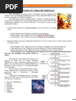 orixsas7linhasouvibraesoriginais-130618164954-phpapp02