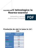 Floarea Soarelui