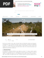 5 Roteiros Incríveis Para Fazer de Carro Pelo Brasil _ Nômades Digitais