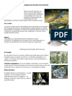 ANIMALES EN PELIGRO DE EXTINCIÓN.docx