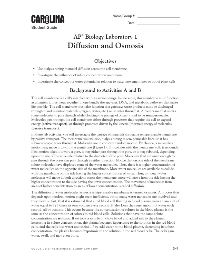 Diffusion and Osmosis Lab | PDF | Osmosis | Cell Membrane