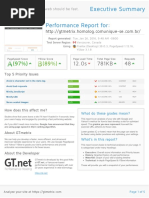 GTmetrix Report MRV