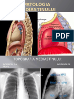 Patologia Mediastinului