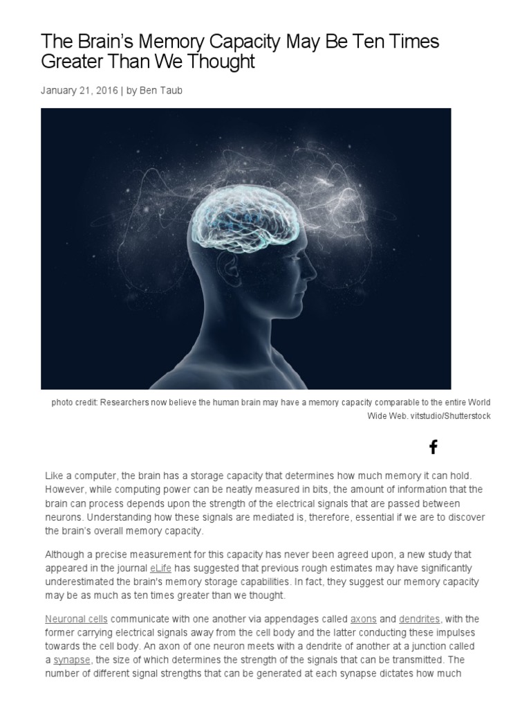 The Brain's Memory Capacity | PDF | Synapse | Dendrite