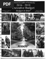 Download 2016-2018 Executive Budget by Sabirah Ray SN296759243 doc pdf