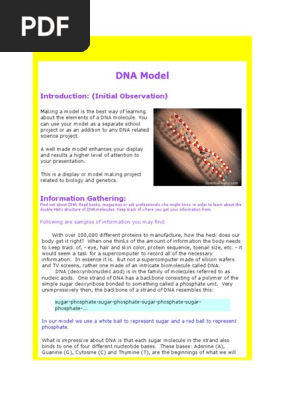Make a Short DNA Model