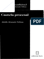 Temas Procesales Conflictivos II - Cautela Procesal - Adolfo Alvarado Velloso