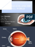 HUMAN EYE PPT